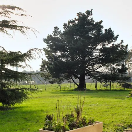 Mumbasa - Du Fozo - - La Roche Bernard * Herbignac