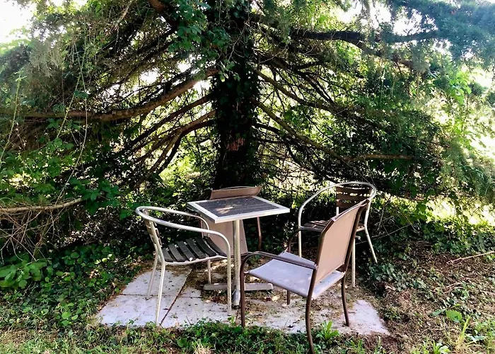 Mumbasa - Du Fozo - - La Roche Bernard * Herbignac